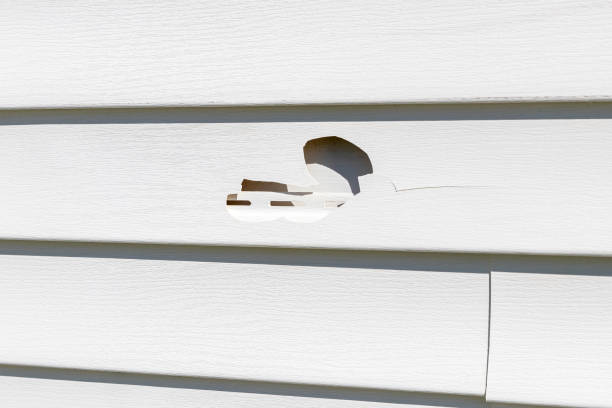 Best Vinyl Siding Installation  in South Burlington, VT